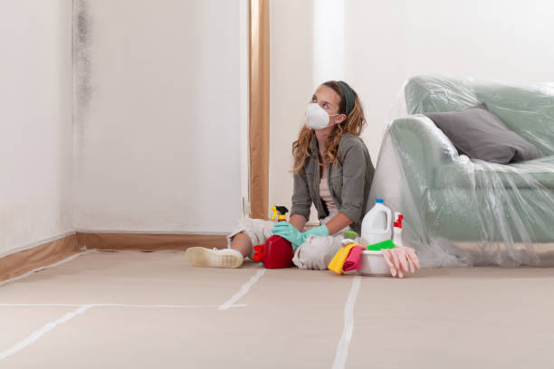 Reliable Basement Mold Remediation contractor in Walpole, MA by 24 Hour Mold Removal